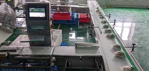 food checkweighing to Vegetables and Fruits