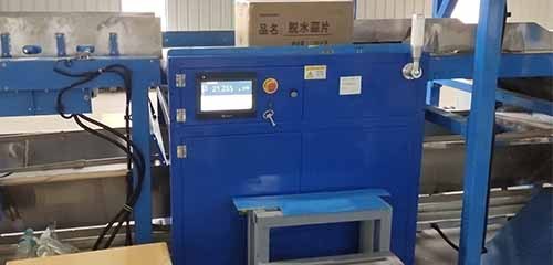 DualScale for Dynamic Parcel Weighing to Cartoned Food Dispatch