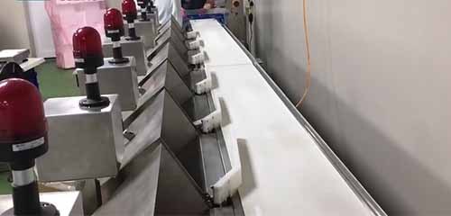 Automatic Weight Sorter with Individual Channel Alerts