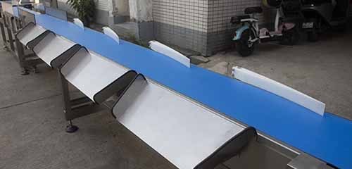 Advanced Automatic Weight Sorter with Multi-Protein Sorting Compatibility