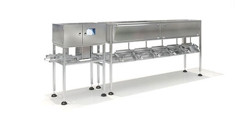 Advanced Automatic Weight Sorter with Hygienic and Easy to Clean