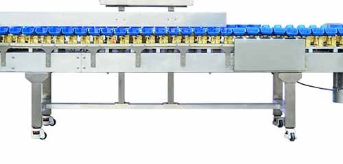 High Speed Weight Sorter Supports 6 to 20 sorting levels for tailored classification.