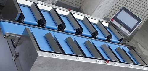 Combination Weigher with 12-Head High-Speed Weighing for Precise Mixing