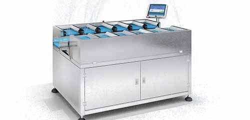 Customizable Checkweigher Up to 20 Lanes