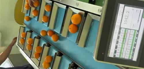 Combination scales to Orange Packing