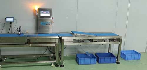 Checkweigher with Inkjet Coder Combination System to Printed Materials