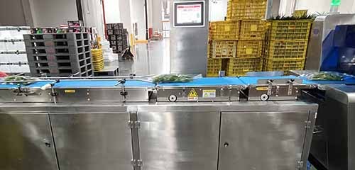 End of Line Weigh Price Labeler with Bottom Labelling