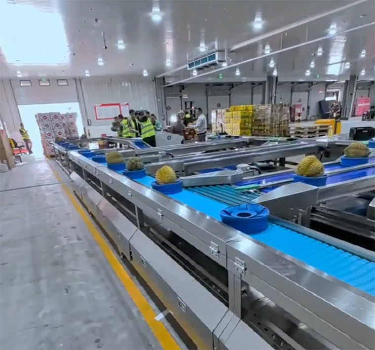 Unveiling the Power of Washdown Checkweighers: Essential for Food & Beverage Excellence
