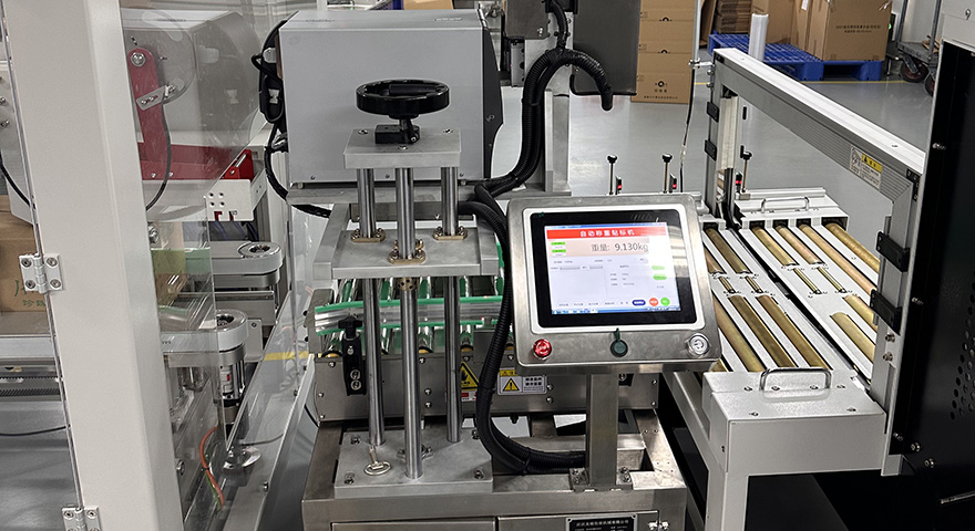 Weigh price labeling system