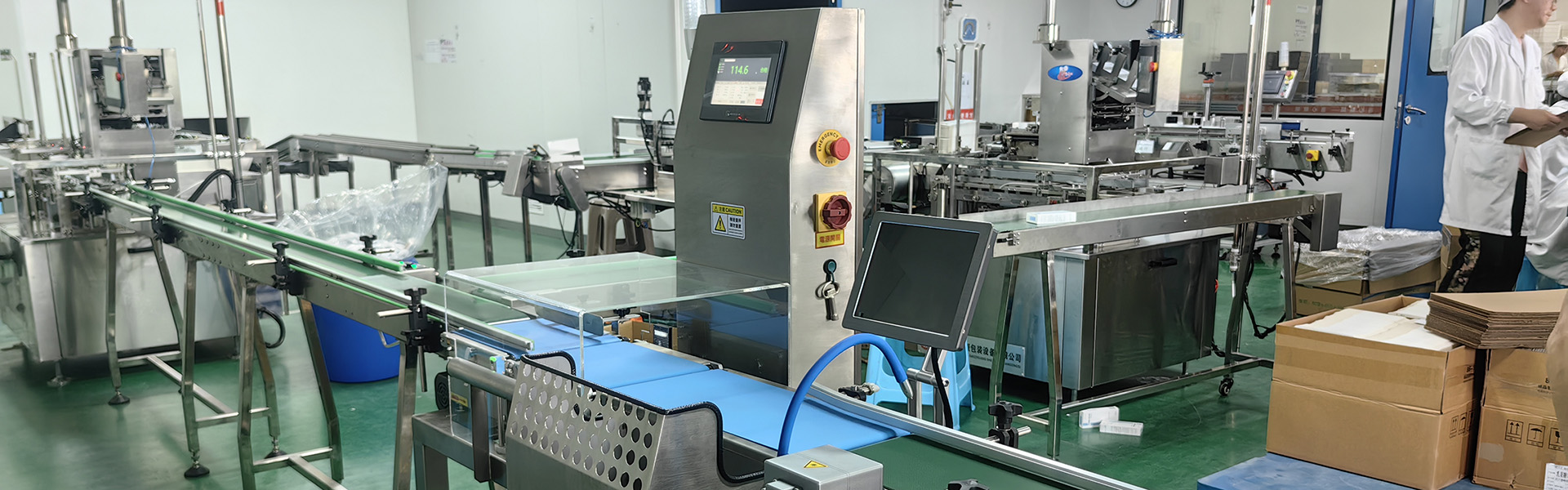 Dynamic checkweigher system for precision weighing