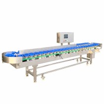 Tray-Based Food & Fish Weight Sorting Machine SWSR-750TC6