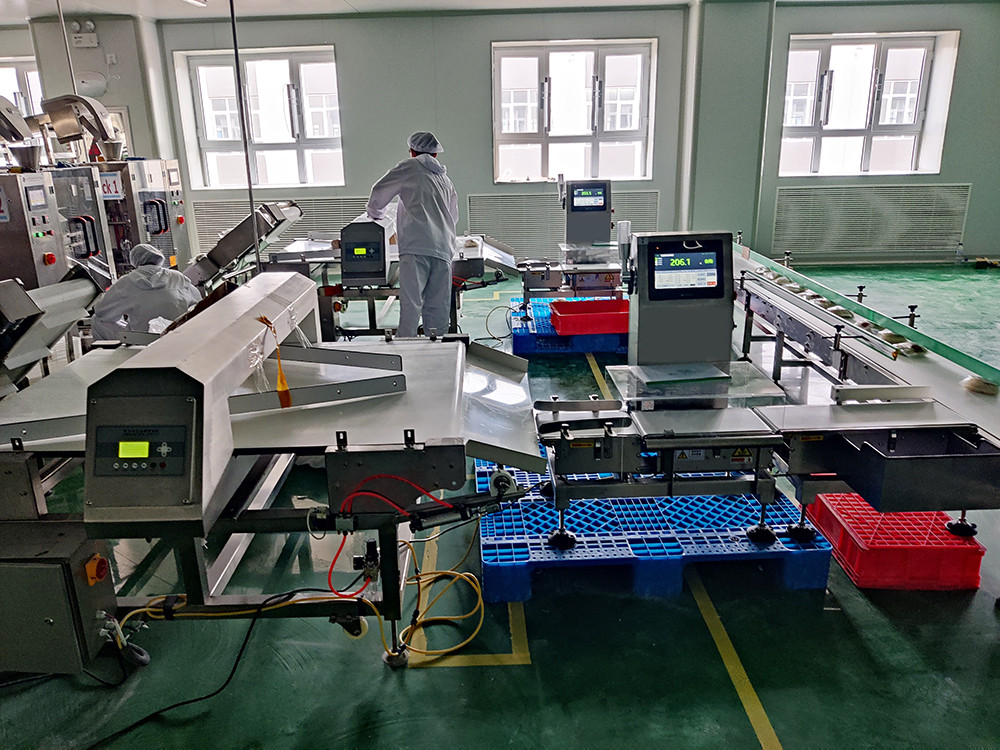 How Dynamic Checkweighers Work: Precision in Motion