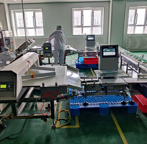 How Dynamic Checkweighers Work: Precision in Motion