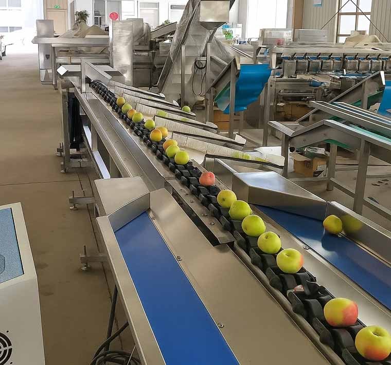 Workflow of Weight Sorter