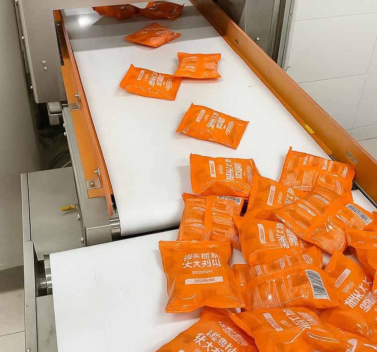 Ultimate Guide to Checkweigher with Metal Detector Systems for Enhanced Food Safety