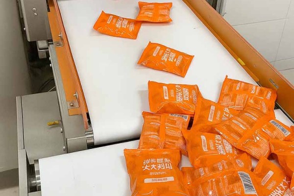 Ultimate Guide to Checkweigher with Metal Detector Systems for Enhanced Food Safety