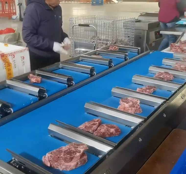 14 head multi head combination weigher applicated in beaf  packaging line
