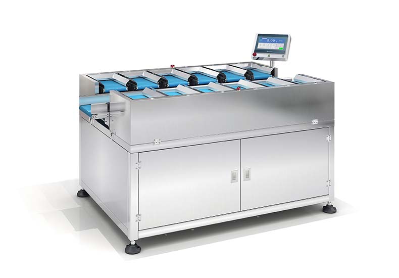 Combination Weigher SBW-2512B12