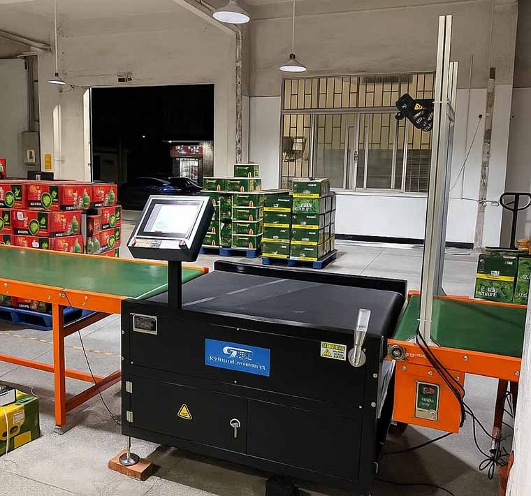 Weigh-Price-Labelling-Systems-for-Fruits