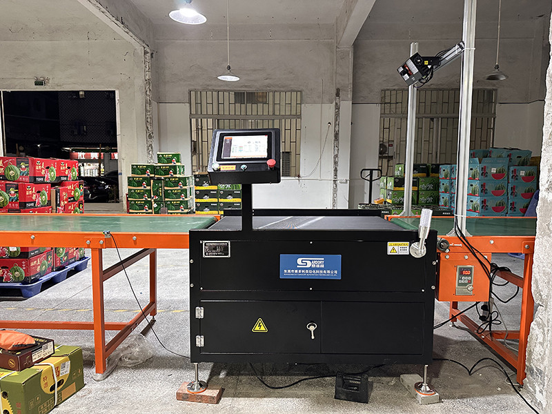 High-speed dynamic weighing scale for boxed fruit