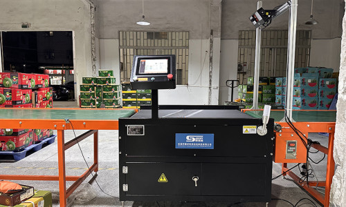 SameGram High-Speed Dynamic Weighing Scale & Barcode Scanning Solution Boosts Fruit Packaging Efficiency