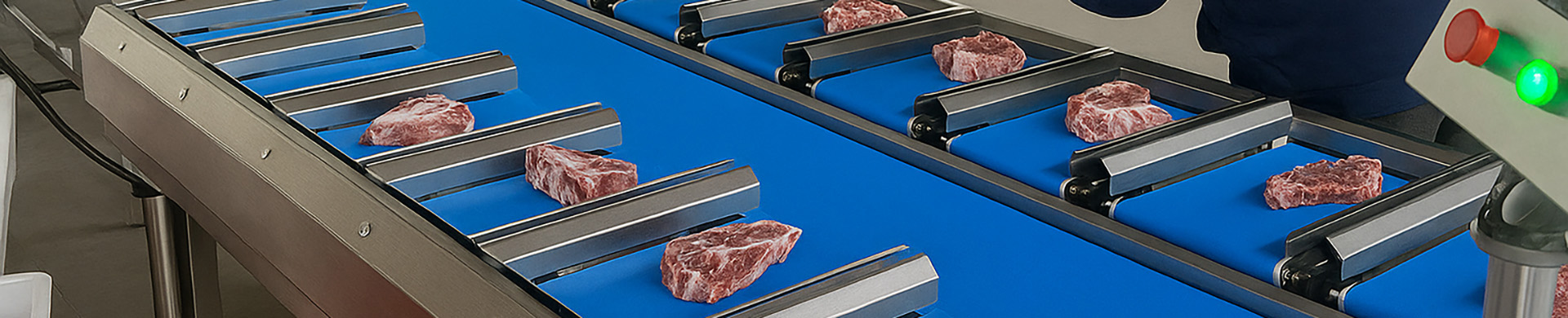 Intelligent Checkweigher for Fish, Seafood & Meat