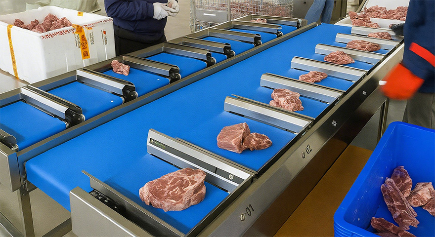 Meat and poultry checkweighing equipment used in seafood and beef processing lines to ensure weight accuracy and safety compliance