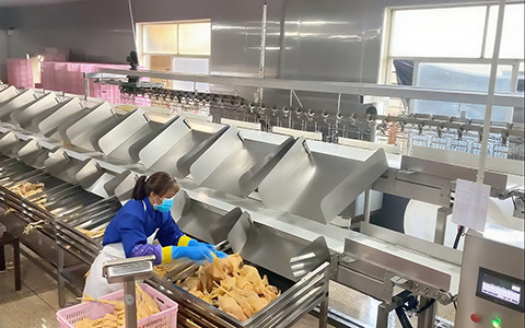 Ultimate Guide to Customized Checkweighers: Features, Benefits & Selection Tips | SameGram