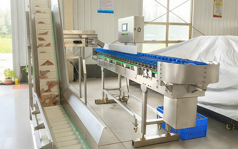 industrial-metal-detector-food-industry