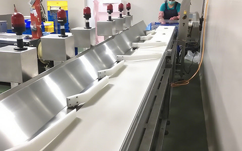Weight Sorting Machines for Fish