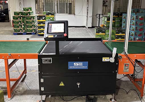 High-speed checkweigher for boxed fruit