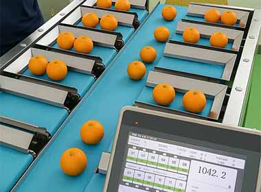 Combination weigher applied to orange packaging production line