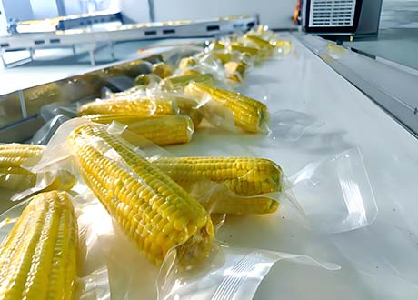 Food checkweigher and metal detector combo machine applied in dry goods, grains, and cereals industry