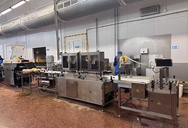 Custom four-printer labeler in operation with global technical support and installation in Belarus