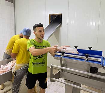 Six-grade turkey weight grader in operation with expert consultation support in North America