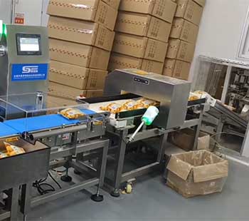 On-site calibration of food metal detector in China ensuring 0.5mm contaminant detection for children’s snack production