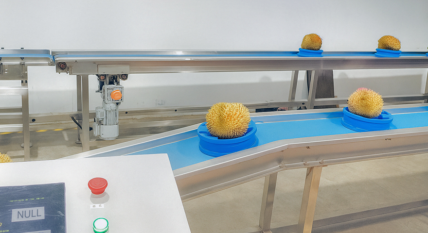 High-precision apple bag checkweigher ensuring accurate weight control in fresh produce packaging lines.