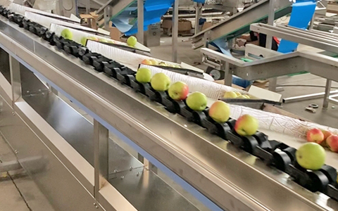 checkweigher for food industry like Leafy Greens and Salad Mixes