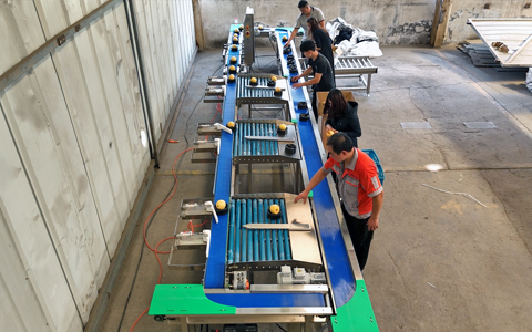 Citrus Fruits weight sorter