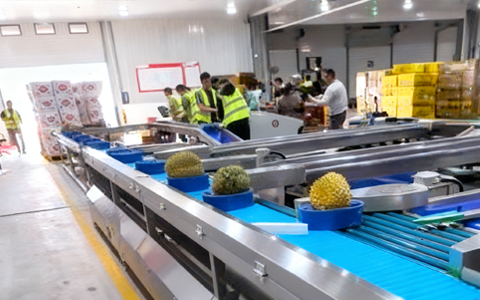 Checkweigher inspection with soft reject Stone Fruits and Berries