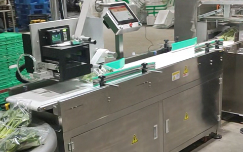combination scales and weight sorting machine like Root Vegetables