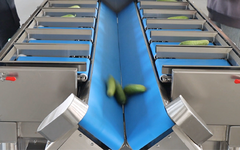 checkweigher for food industry like Leafy Greens and Salad Mixes