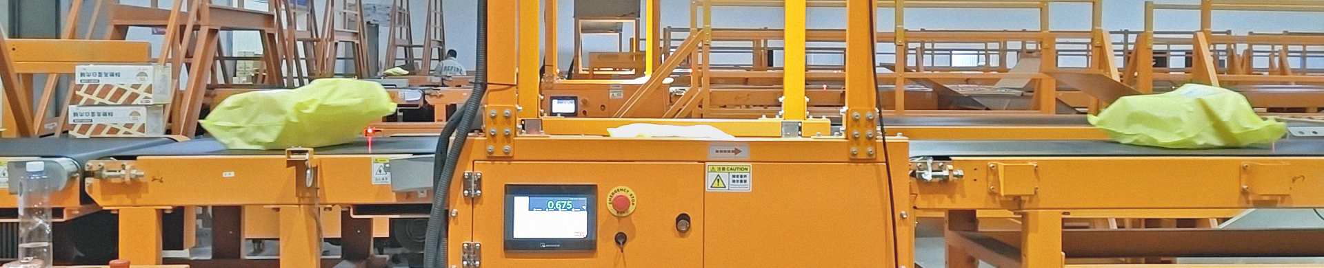 Samegram weighing module in DWS system