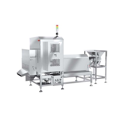 Bulk Goods X-ray Inspection Systems XSS-S Series