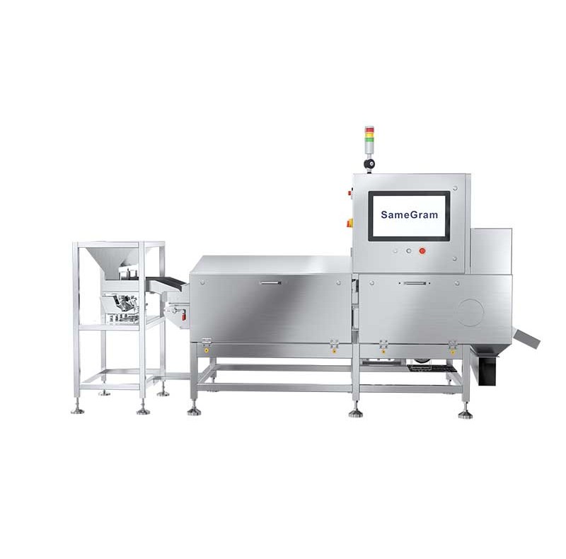 Bulk Goods X-ray Inspection Systems CSS-S Series
