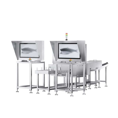 X-ray Inspection Systems Fish Bone X-ray Inspection System CSS-F-4610