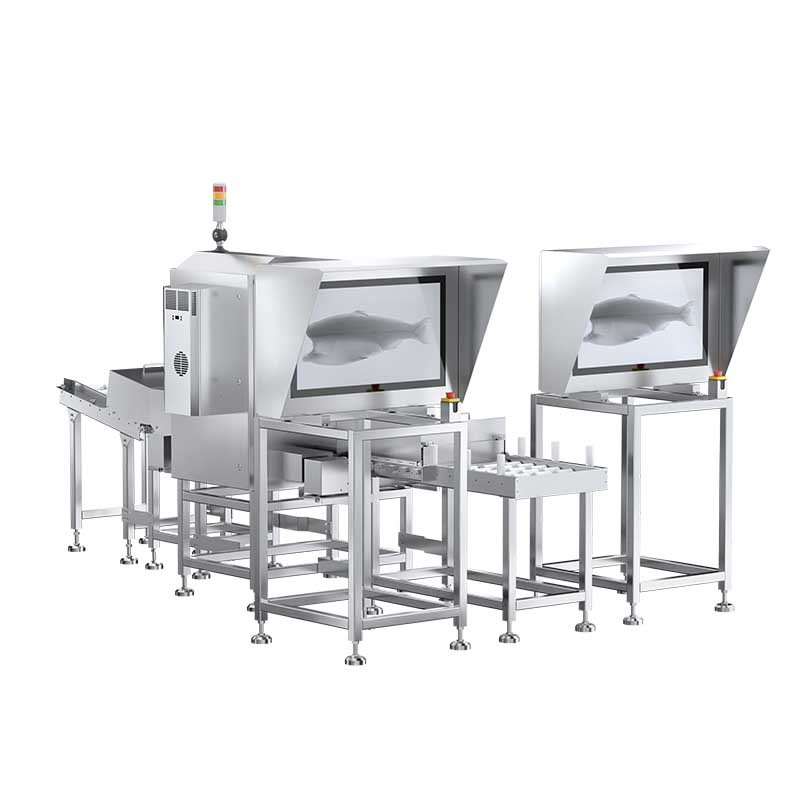 X-ray Inspection Systems Fish Bone X-ray Inspection System 