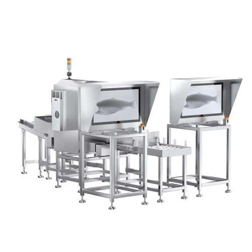 X-ray Inspection Systems Fish Bone X-ray Inspection System CSS-F-4610