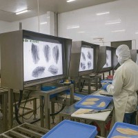 How Japan's Seafood Processing Industry Achieved 