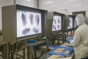 How X-Ray Detectors Boost Food Inspection Accuracy: Technical Deep-Dive on X Ray Food Inspection Equipment | SameGram